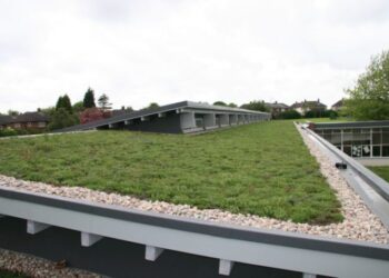 Green Roofing – Bowmarsh Roofing