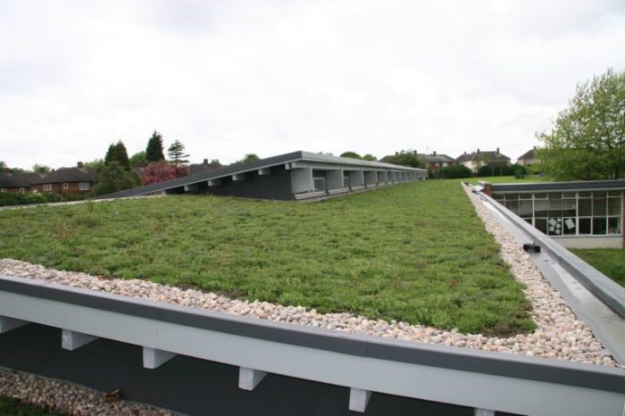 Green Roofing – Bowmarsh Roofing Green Roofing – Bowmarsh Roofing