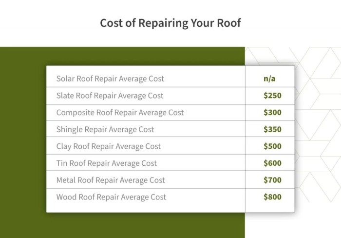 The Cost of Repairing Your Roof | Roof Maxx